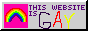 "THIS WEBSITE IS GAY" button.